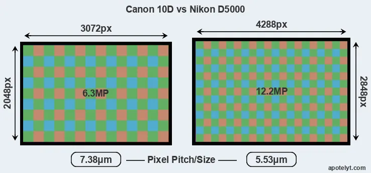 10D versus D5000 MP