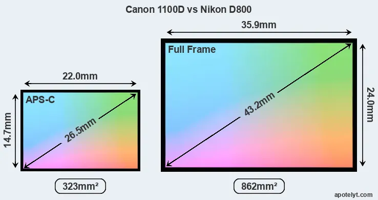 Canon 1100D and Nikon D800 sensor measures