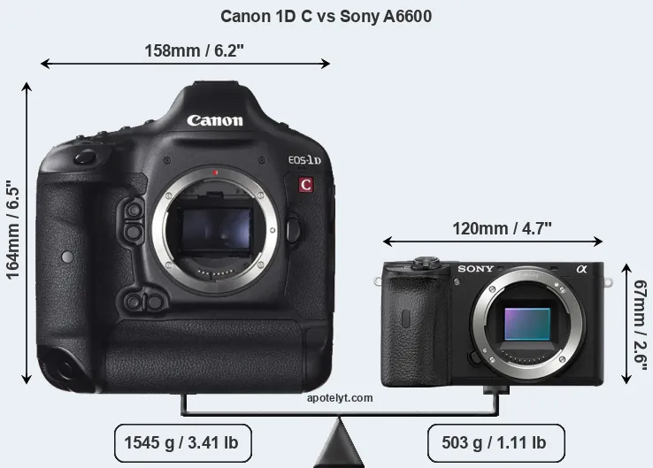 Size Canon 1D C vs Sony A6600