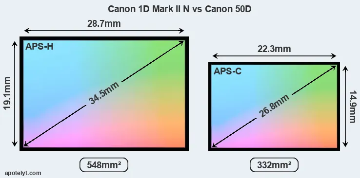 Canon 1D Mark II N and Canon 50D sensor measures