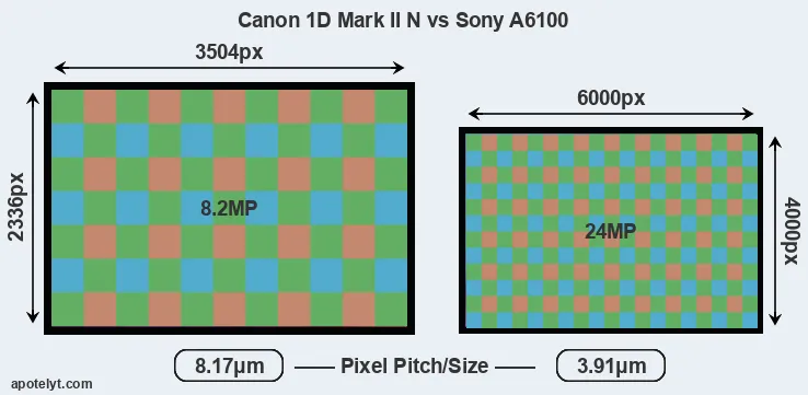 1D Mark II N versus A6100 MP