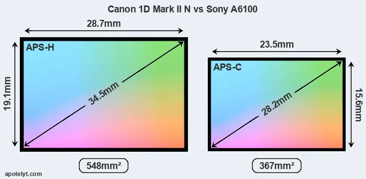 Canon 1D Mark II N and Sony A6100 sensor measures