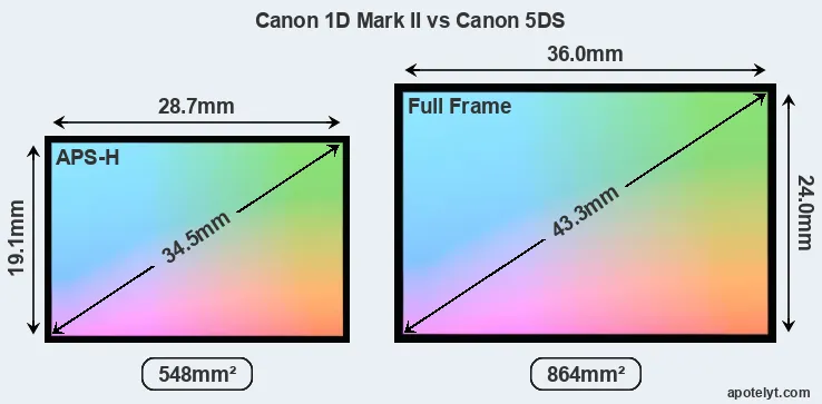 Canon 1D Mark II and Canon 5DS sensor measures