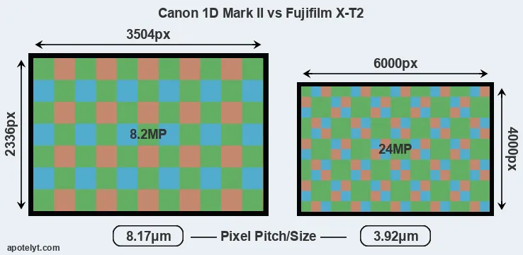 1D Mark II versus X-T2 MP