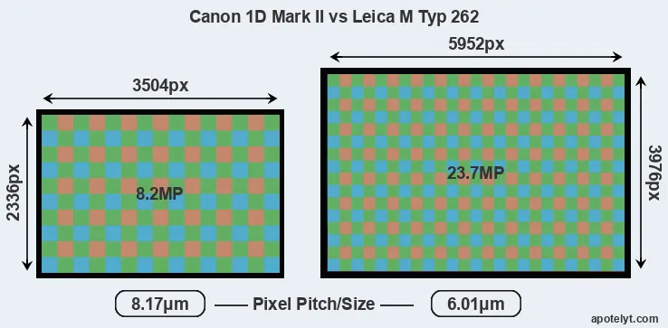 1D Mark II versus M Typ 262 MP