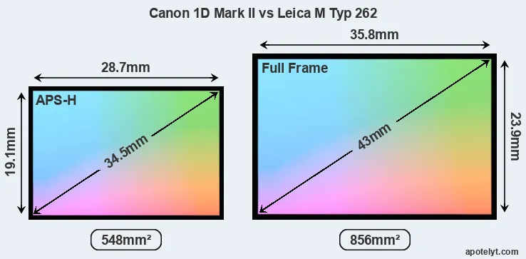 Canon 1D Mark II and Leica M Typ 262 sensor measures