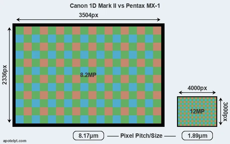 1D Mark II versus MX-1 MP