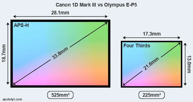 Canon 1D Mark III and Olympus E-P5 sensor measures