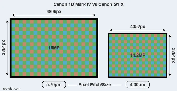 1D Mark IV versus G1X MP
