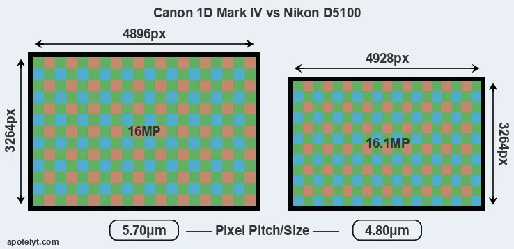 1D Mark IV versus D5100 MP