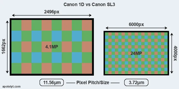 1D versus SL3 MP