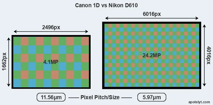 1D versus D610 MP