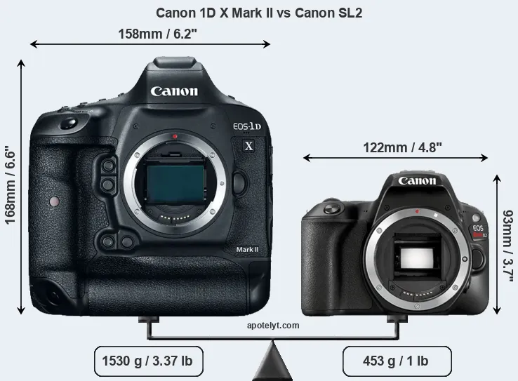 Size Canon 1D X Mark II vs Canon SL2