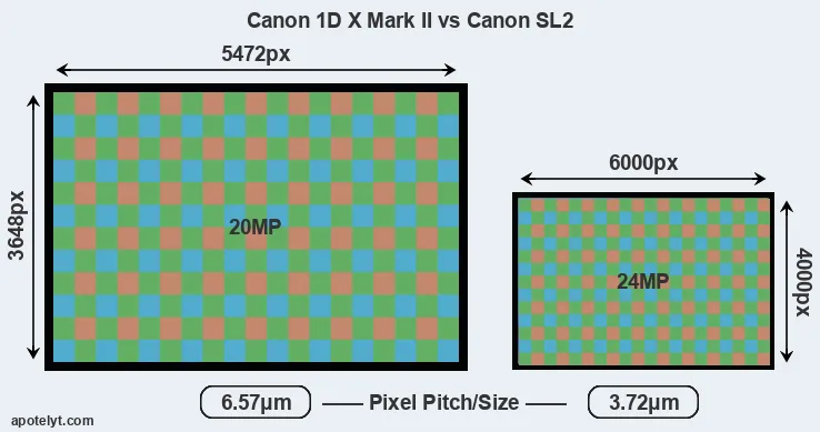 1DX Mark II versus SL2 MP