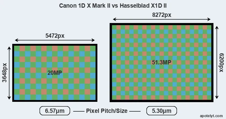 1DX Mark II versus X1D II MP