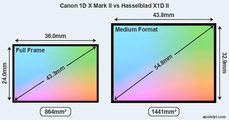Canon 1D X Mark II and Hasselblad X1D II sensor measures