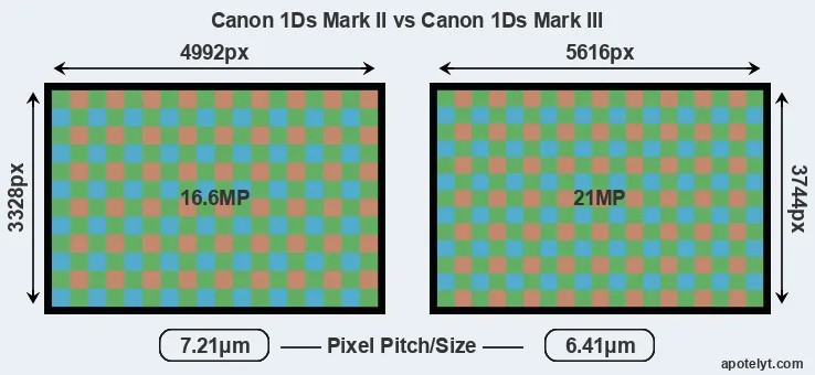 1Ds Mark II versus 1Ds Mark III MP