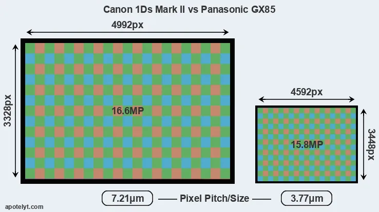 1Ds Mark II versus GX85 MP