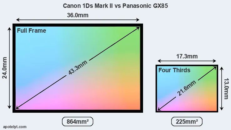 Canon 1Ds Mark II and Panasonic GX85 sensor measures