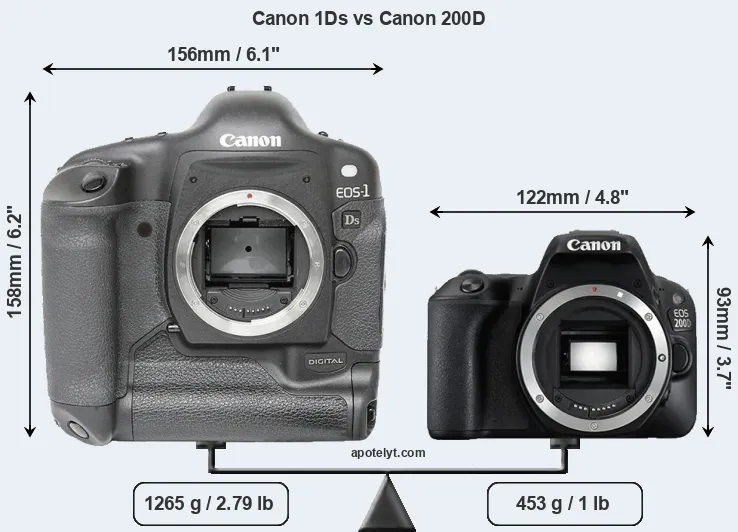 Size Canon 1Ds vs Canon 200D