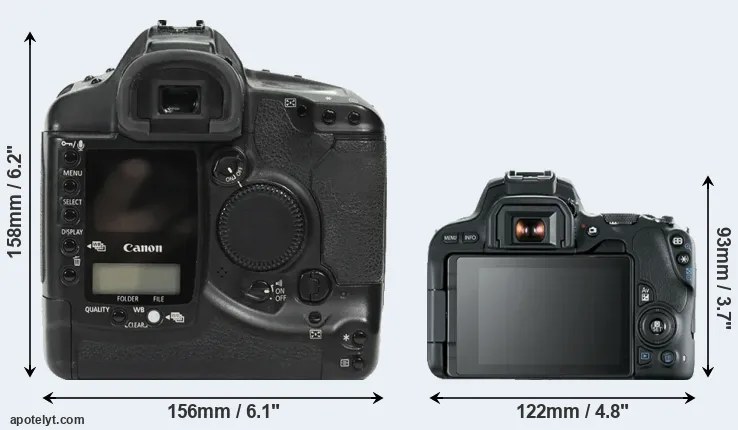 Comparison 1Ds or 200D rear