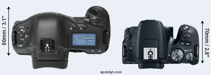 Compare 1Ds versus 200D top