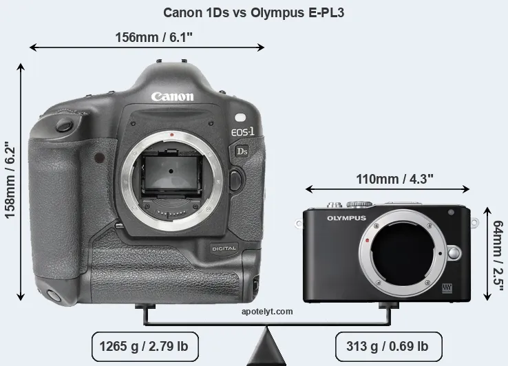 Size Canon 1Ds vs Olympus E-PL3
