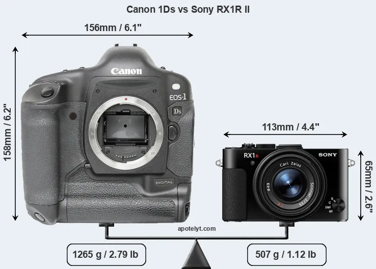 Size Canon 1Ds vs Sony RX1R II
