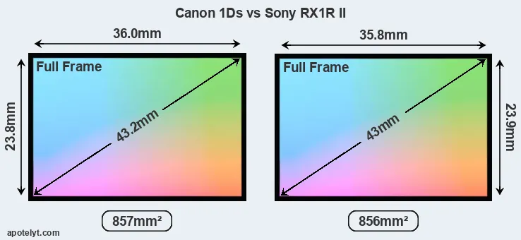 Canon 1Ds and Sony RX1R II sensor measures