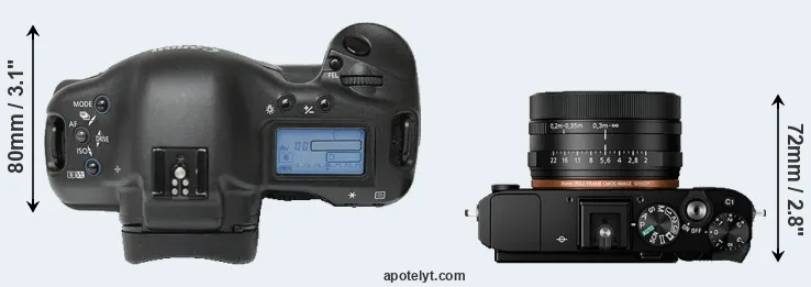 Compare 1Ds versus RX1R II top