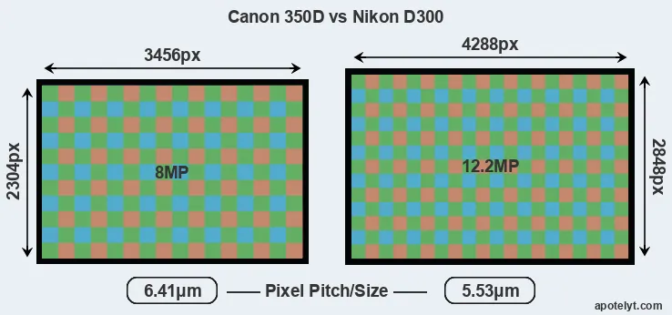 350D versus D300 MP
