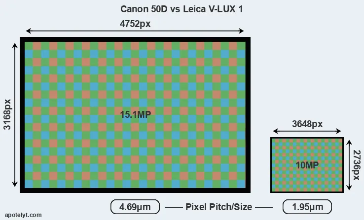 50D versus V-LUX 1 MP