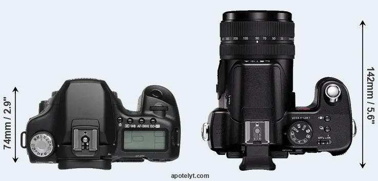 Compare 50D versus V-LUX 1 top