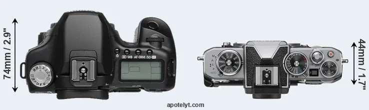 Compare 50D versus Z fc top