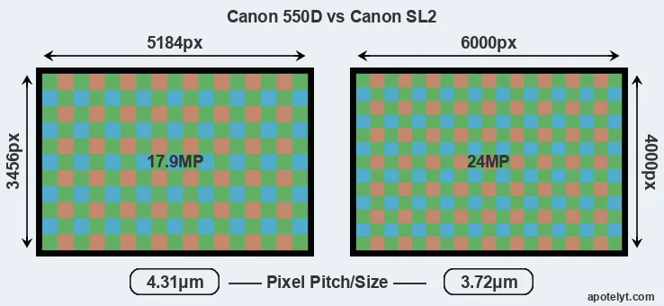 550D versus SL2 MP