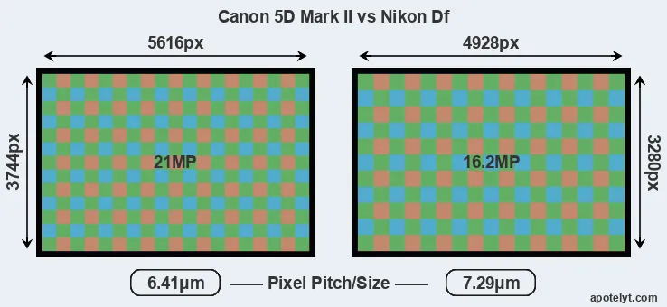 5D Mark II versus Df MP