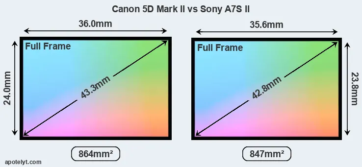 Canon 5D Mark II and Sony A7S II sensor measures