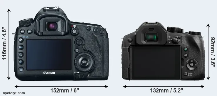 Comparison 5D Mark III or FZ300 rear