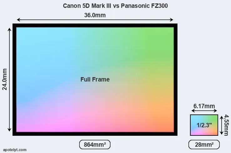 Canon 5D Mark III and Panasonic FZ300 sensor measures