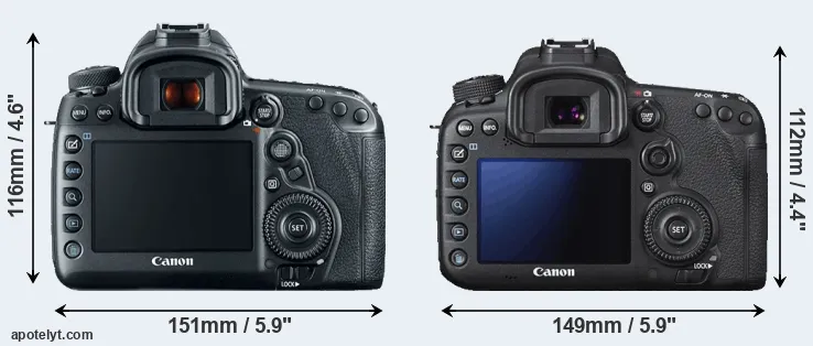 Comparison 5D Mark IV or 7D Mark II rear