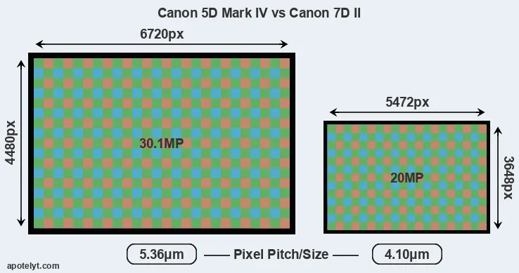 5D Mark IV versus 7D Mark II MP