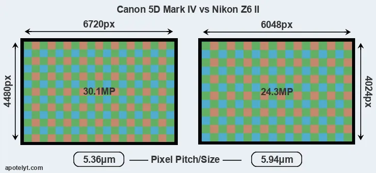 5D Mark IV versus Z6 II MP