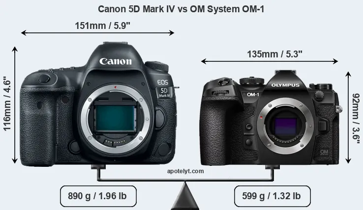 Size Canon 5D Mark IV vs OM System OM-1