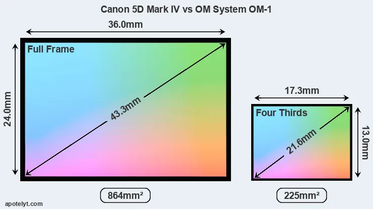 Canon 5D Mark IV and OM System OM-1 sensor measures