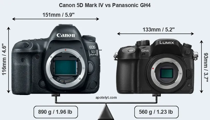 Size Canon 5D Mark IV vs Panasonic GH4