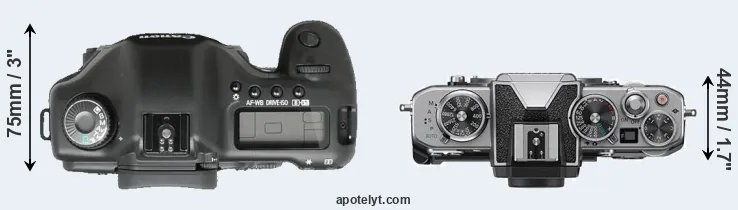 Compare 5D versus Z fc top