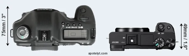Compare 5D versus A6300 top