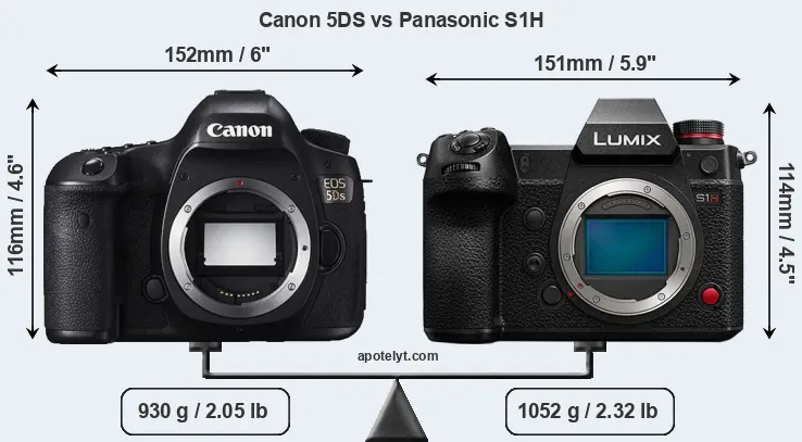 Size Canon 5DS vs Panasonic S1H