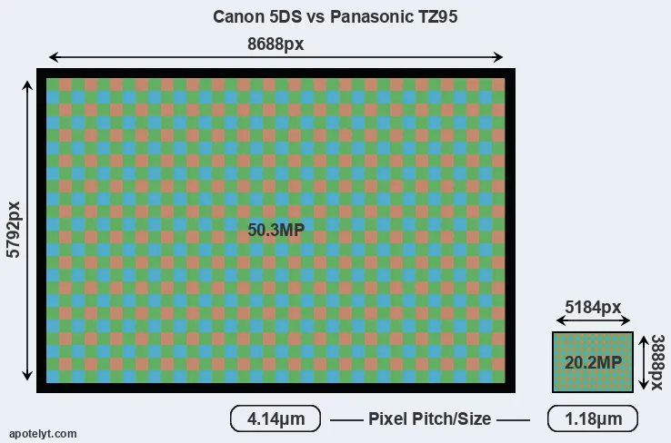 5DS versus TZ95 MP