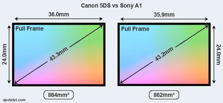 Canon 5DS and Sony A1 sensor measures
